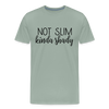 Not Slim Kinda Shady Men's Premium T-Shirt