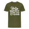 Hello Darkness Funny Coffee Men's Premium T-Shirt