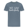 Not Slim Kinda Shady Men's Premium T-Shirt - steel blue