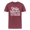 Hello Darkness Funny Coffee Men's Premium T-Shirt