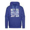Not All Math Puns Are Terrible Just Sum Men’s Premium Hoodie - royal blue