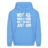 Not All Math Puns Are Terrible Just Sum Funny Men's Hoodie