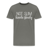 Not Slim Kinda Shady Men's Premium T-Shirt - asphalt gray