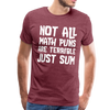 Not All Math Puns Are Terrible Just Sum Men's Premium T-Shirt