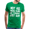 Not All Math Puns Are Terrible Just Sum Men's Premium T-Shirt