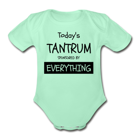 Todays Tantrum Sponsored by Everything Organic Short Sleeve Baby Bodysuit