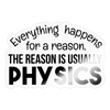 Everything Happens for a Reason...Physics Sticker - transparent glossy